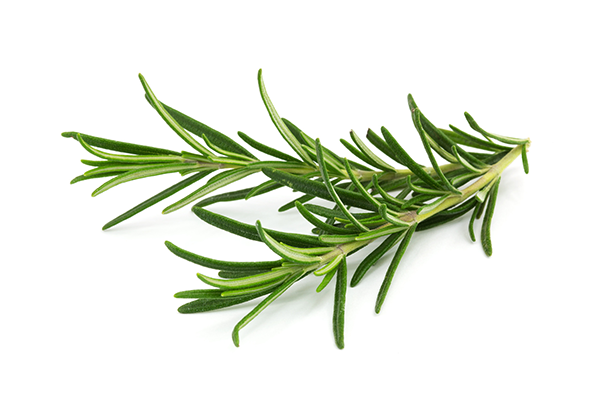 Rosemary