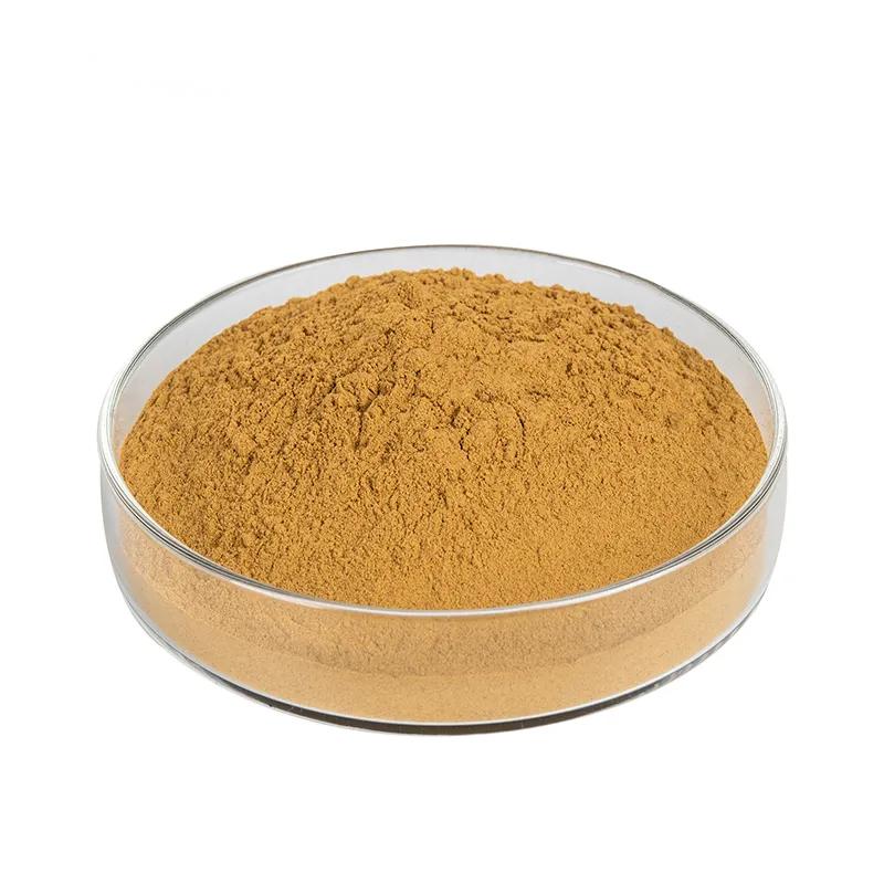 Ginkgo Biloba Extract Powder Bulk