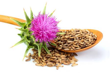 Milk Thistle Seed