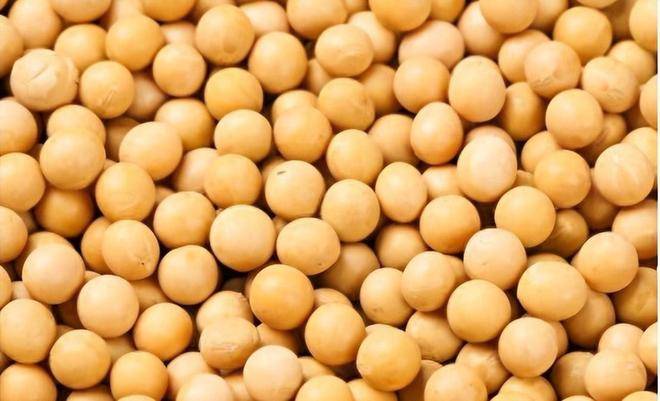  Soybean