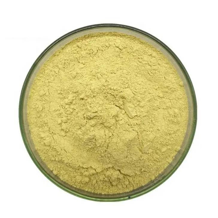 50% Natural Fisetin Powder Bulk