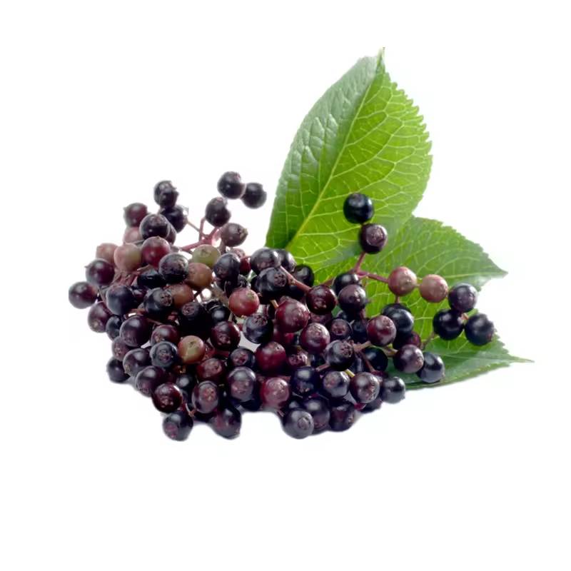 Elderberry Fruit