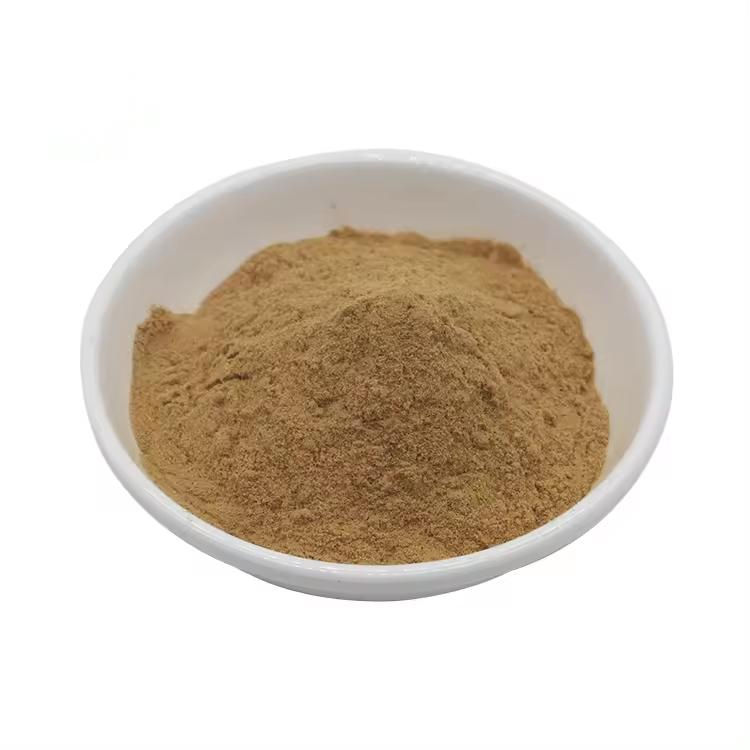 Fenugreek Seed Extract Powder