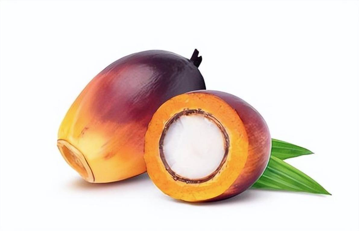 Palm Oil