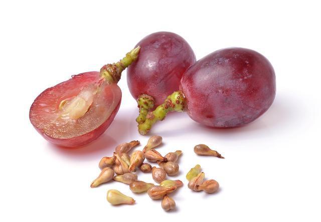 Grape Seed