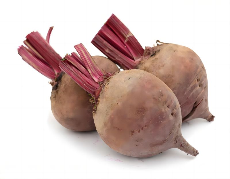 Red Beet