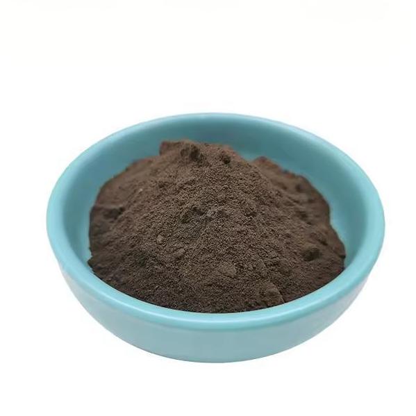 Black Ginger Extract Powder