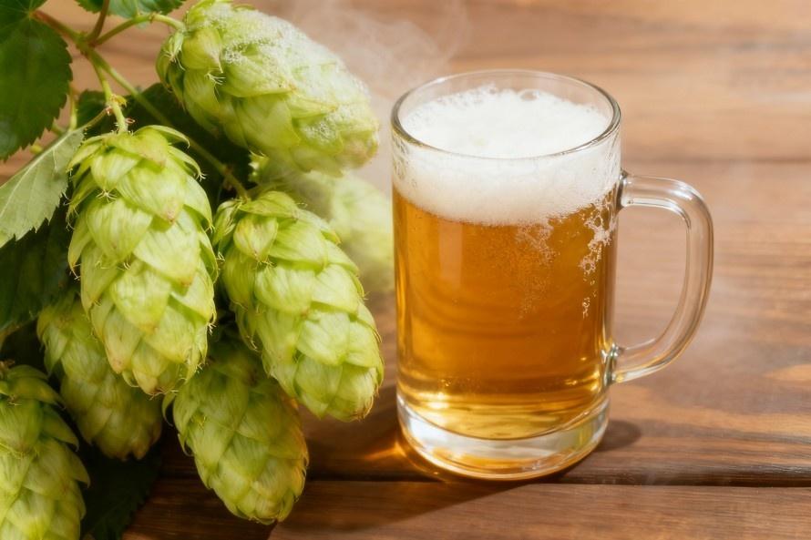 Green Spring Technology's One-Stop Solution for Standardized Hop Extract Ingredient