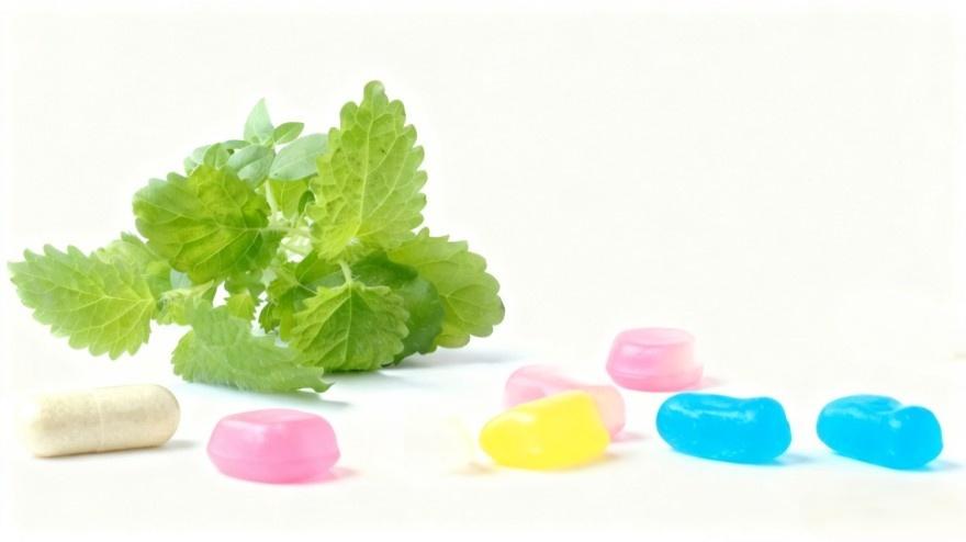 Comprehensive Solution for Natural Standardized Lemon Balm Extract Ingredient